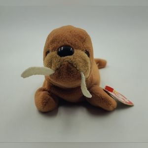 TY Beanie Baby - TUSK Walrus (4th Gen hang tag, 3rd Gen Tush Tag) (7.5 inch)